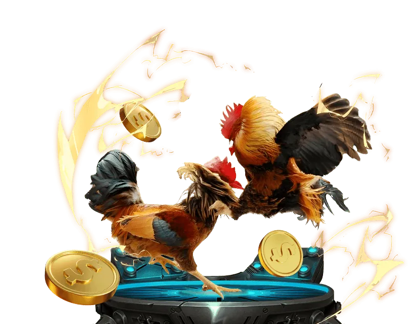 Lợi ích khi chọn zo win